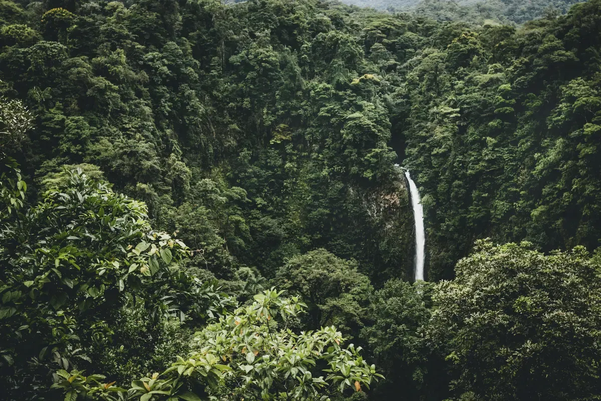 La Fortuna Waterfall dropping through rainforest, a stop on Costa Rica hot springs tours around Arenal